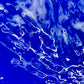 Purple Blue water