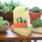 Succulents Handcrafted Soap Bar