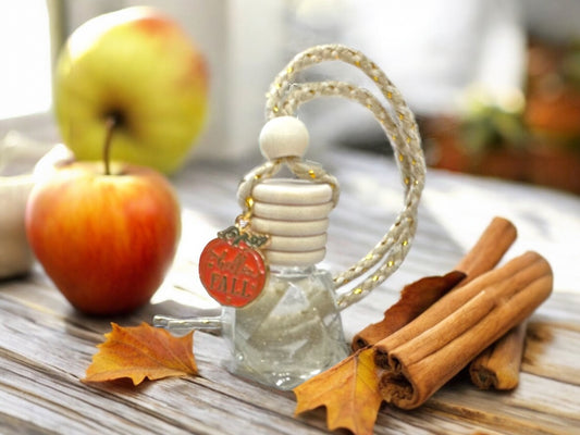 Fall Breeze Car Freshener, Handmade, Assorted Fall Charms
